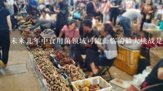 未来几年中食用菌领域可能面临的最大挑战是什么？