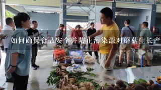 如何确保食品安全并防止污染源对蘑菇生长产生负面影响？