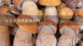 什么是食用菌栽培剂？