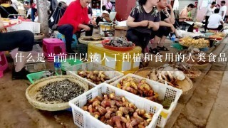 什么是当前可以被人工种植和食用的人类食品？