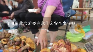 食用菌栽培需要注意什么安全事项呢？