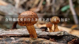 食用菌需要在什么条件下进行透气包装？