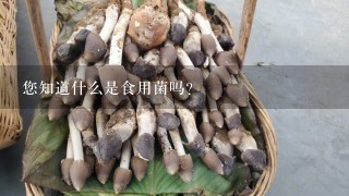 您知道什么是食用菌吗？