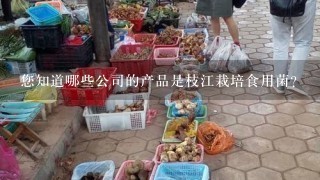 您知道哪些公司的产品是枝江栽培食用菌？