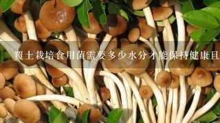 覆土栽培食用菌需要多少水分才能保持健康且高产？