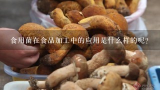 食用菌在食品加工中的应用是什么样的呢？