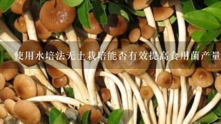 使用水培法无土栽培能否有效提高食用菌产量