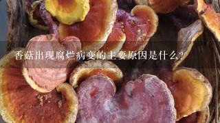 香菇出现腐烂病变的主要原因是什么