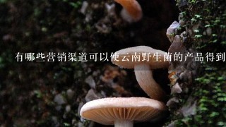 有哪些营销渠道可以使云南野生菌的产品得到更广泛地传播与销售