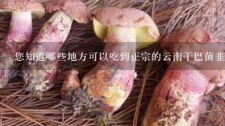 您知道哪些地方可以吃到正宗的云南干巴菌韭菜花