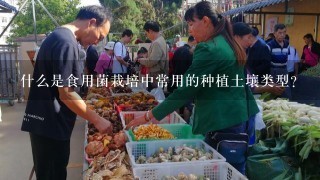 什么是食用菌栽培中常用的种植土壤类型