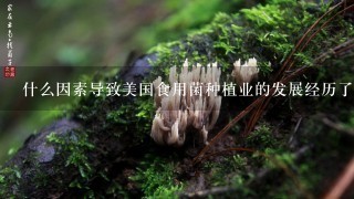 什么因素导致美国食用菌种植业的发展经历了一个兴旺期之后又逐渐萎缩了