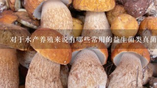 对于水产养殖来说有哪些常用的益生菌类真菌可以用于饲料和底泥添加物来促进鱼类或虾的生长