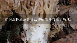 如何选择最适合自己种植条件的最佳场地