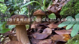 问题十贵州省遵义市目前是否已有成熟的食用菌生产规范体系为农民提供指导并帮助他们实现标准化规模化的种植经营模式