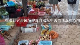 在进行食用菌品种选育过程中需要注意哪些细节问题