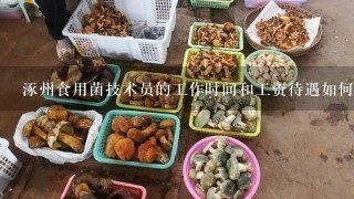 涿州食用菌技术员的工作时间和工资待遇如何呢