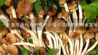 在食用菌行业中哪些公司可以提供更职业发展及晋升机会比较好吗