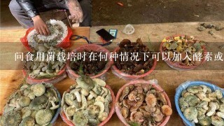 问食用菌载培时在何种情况下可以加入酵素或酶制剂