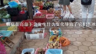 蘑菇在高温下会发生什么变化导致了它们在冰箱中不能保存多长时间