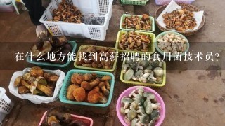 在什么地方能找到高薪招聘的食用菌技术员