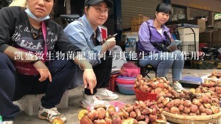 凯盛微生物菌肥如何与其他生物相互作用?