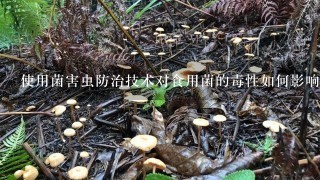 使用菌害虫防治技术对食用菌的毒性如何影响农业生产?