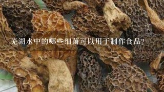 芜湖水中的哪些细菌可以用于制作食品?