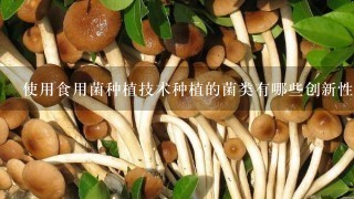 使用食用菌种植技术种植的菌类有哪些创新性应用?