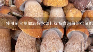 使用菌大棚加温技术如何提高食用菌的抗菌能力?