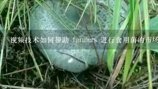 视频技术如何帮助 farmers 进行食用菌的市场营销?