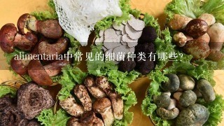 alimentaria中常见的细菌种类有哪些?