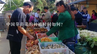 中国芽苗菜的种植时间如何?