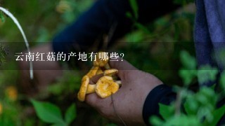 云南红菇的产地有哪些?