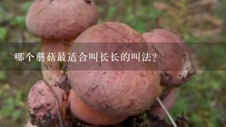 哪个蘑菇最适合叫长长的叫法?