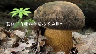 蘑菇厂有哪些创新技术应用?