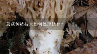 蘑菇种植技术如何处理储存?