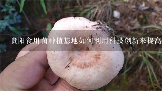 贵阳食用菌种植基地如何利用科技创新来提高科技水平?