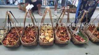 如何利用菌株基因改造开发新的食品安全方法?