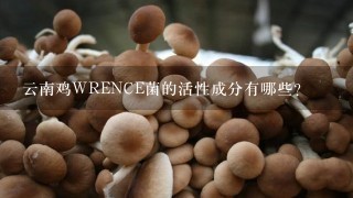 云南鸡WRENCE菌的活性成分有哪些?