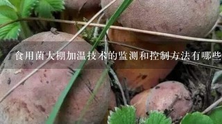 食用菌大棚加温技术的监测和控制方法有哪些?