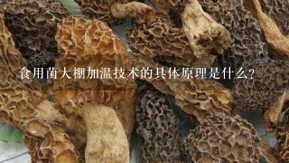 食用菌大棚加温技术的具体原理是什么?