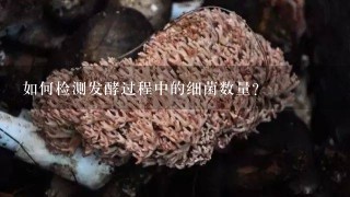 如何检测发酵过程中的细菌数量?