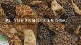 浙江寿仙谷食用菌技术面临哪些挑战?