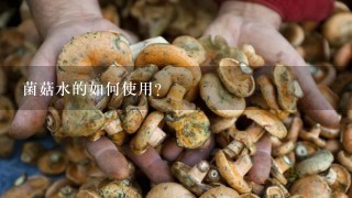 菌菇水的如何使用?