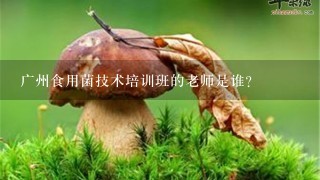 广州食用菌技术培训班的老师是谁?