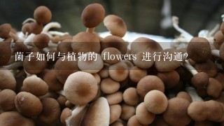 菌子如何与植物的 flowers 进行沟通?