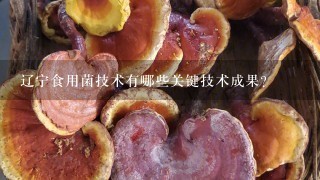 辽宁食用菌技术有哪些关键技术成果?