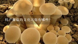 特产菌菇的文化习俗有哪些?