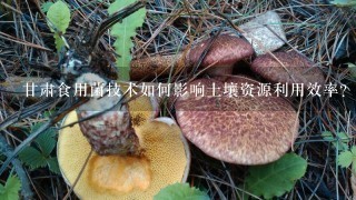 甘肃食用菌技术如何影响土壤资源利用效率?